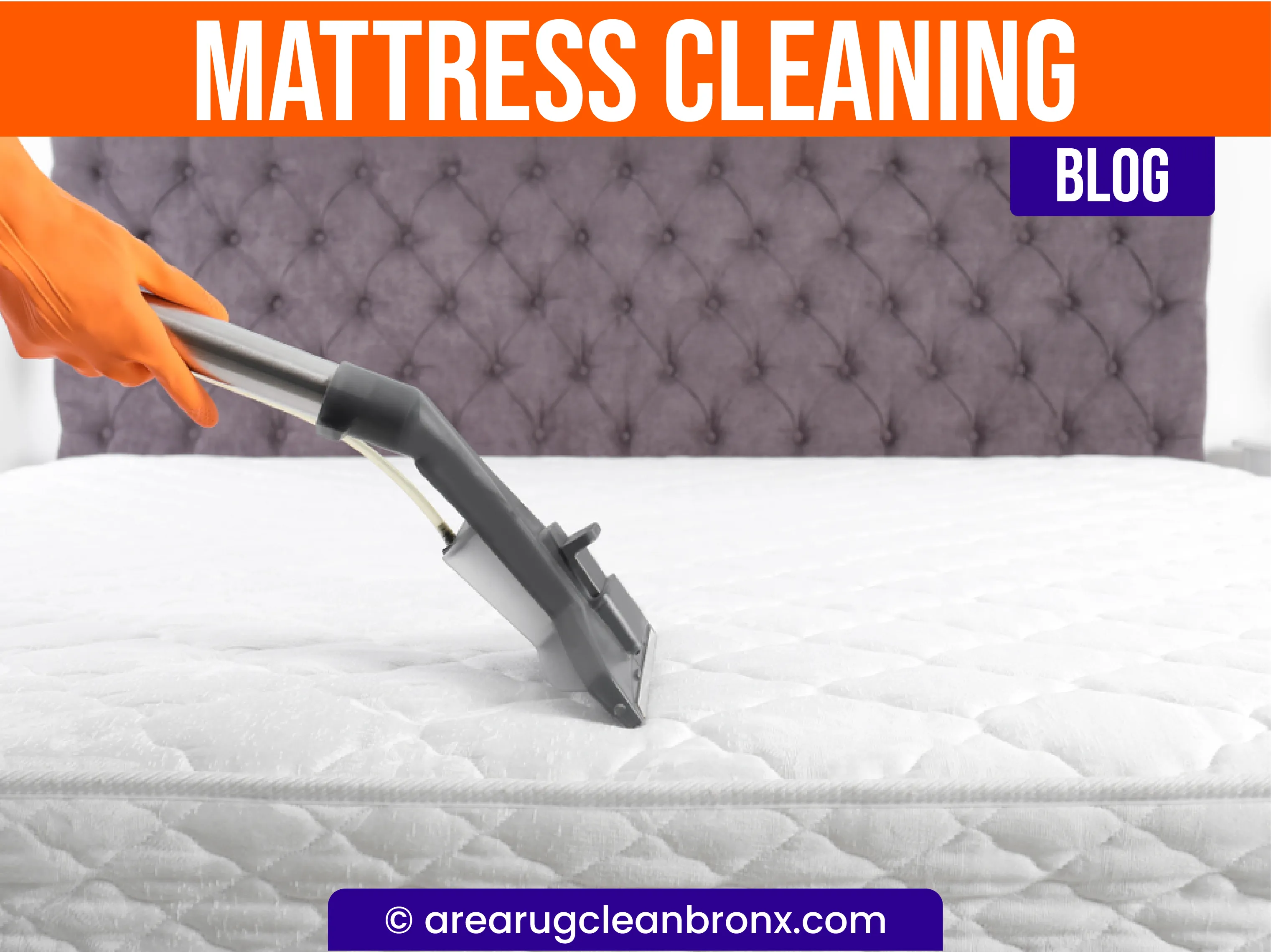 carpet cleaning in the Bronx, carpet cleaning in the Bronx, carpet cleaning the Bronx, carpet cleaners in the Bronx, carpet cleaners in the Bronx, commercial carpet cleaning, commercial carpet cleaning in the Bronx, the Bronx rug cleaners, rug cleaning services in the Bronx, same day carpet cleaning, same day rug cleaning