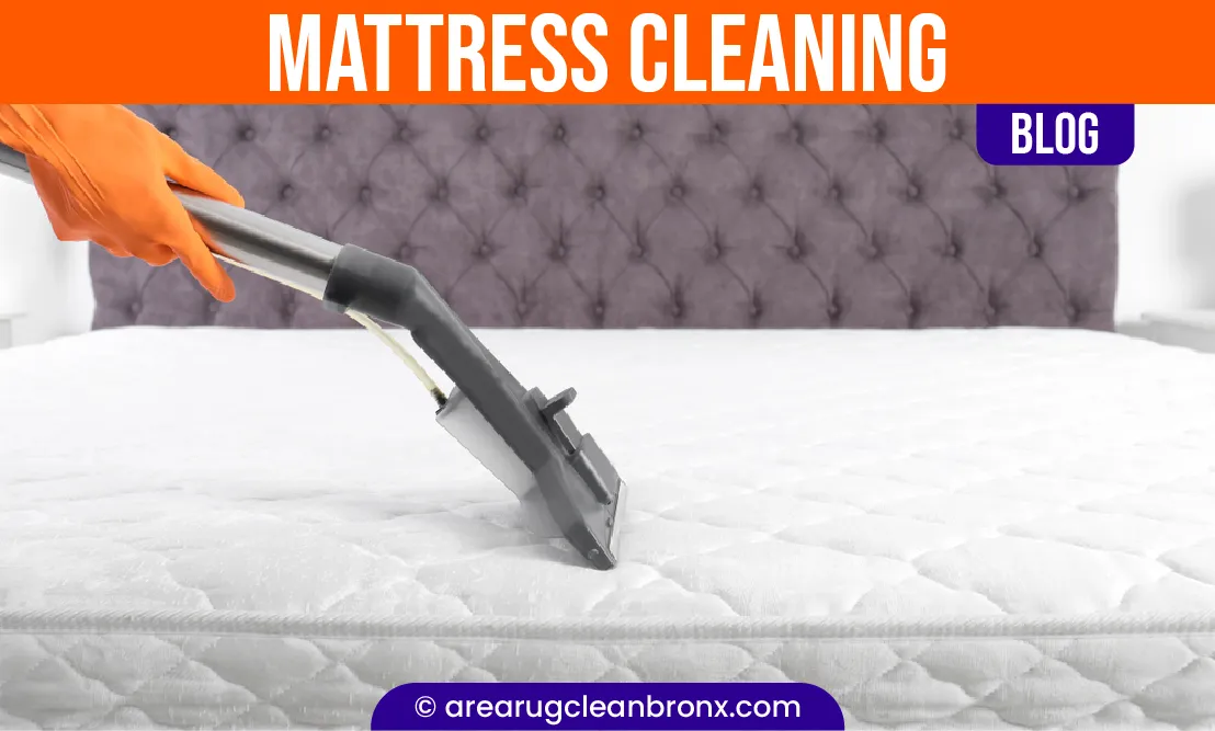 carpet cleaning in The Bronx, carpet cleaning in Bronx, carpet cleaning The Bronx, carpet cleaners in The Bronx, carpet cleaners in Bronx, commercial carpet cleaning, commercial carpet cleaning in The Bronx, The Bronx rug cleaners, rug cleaning services in The Bronx, same day carpet cleaning, same day rug cleaning