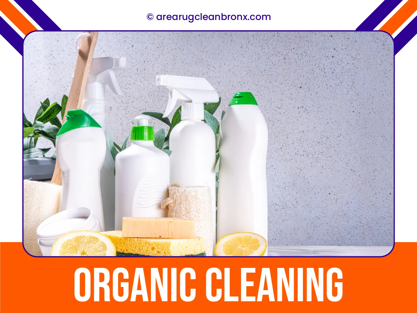 carpet cleaning in The Bronx, carpet cleaning in Bronx, carpet cleaning The Bronx, carpet cleaners in The Bronx, carpet cleaners in Bronx, commercial carpet cleaning, commercial carpet cleaning in The Bronx, The Bronx rug cleaners, rug cleaning services in The Bronx, same day carpet cleaning, same day rug cleaning