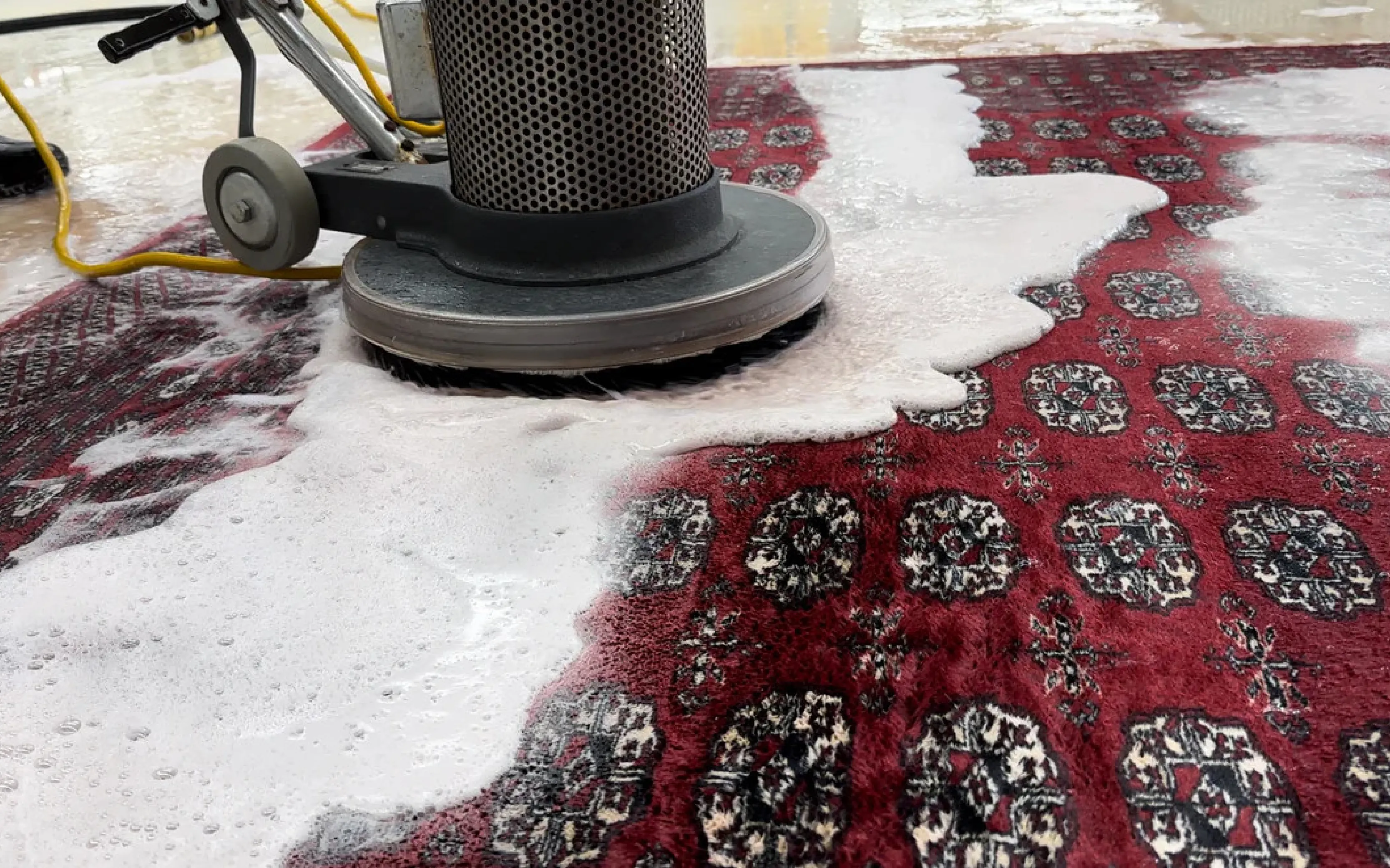 carpet cleaning in the Bronx, carpet cleaning in the Bronx, carpet cleaning the Bronx, carpet cleaners in the Bronx, carpet cleaners in the Bronx, commercial carpet cleaning, commercial carpet cleaning in the Bronx, the Bronx rug cleaners, rug cleaning services in the Bronx, same day carpet cleaning, same day rug cleaning