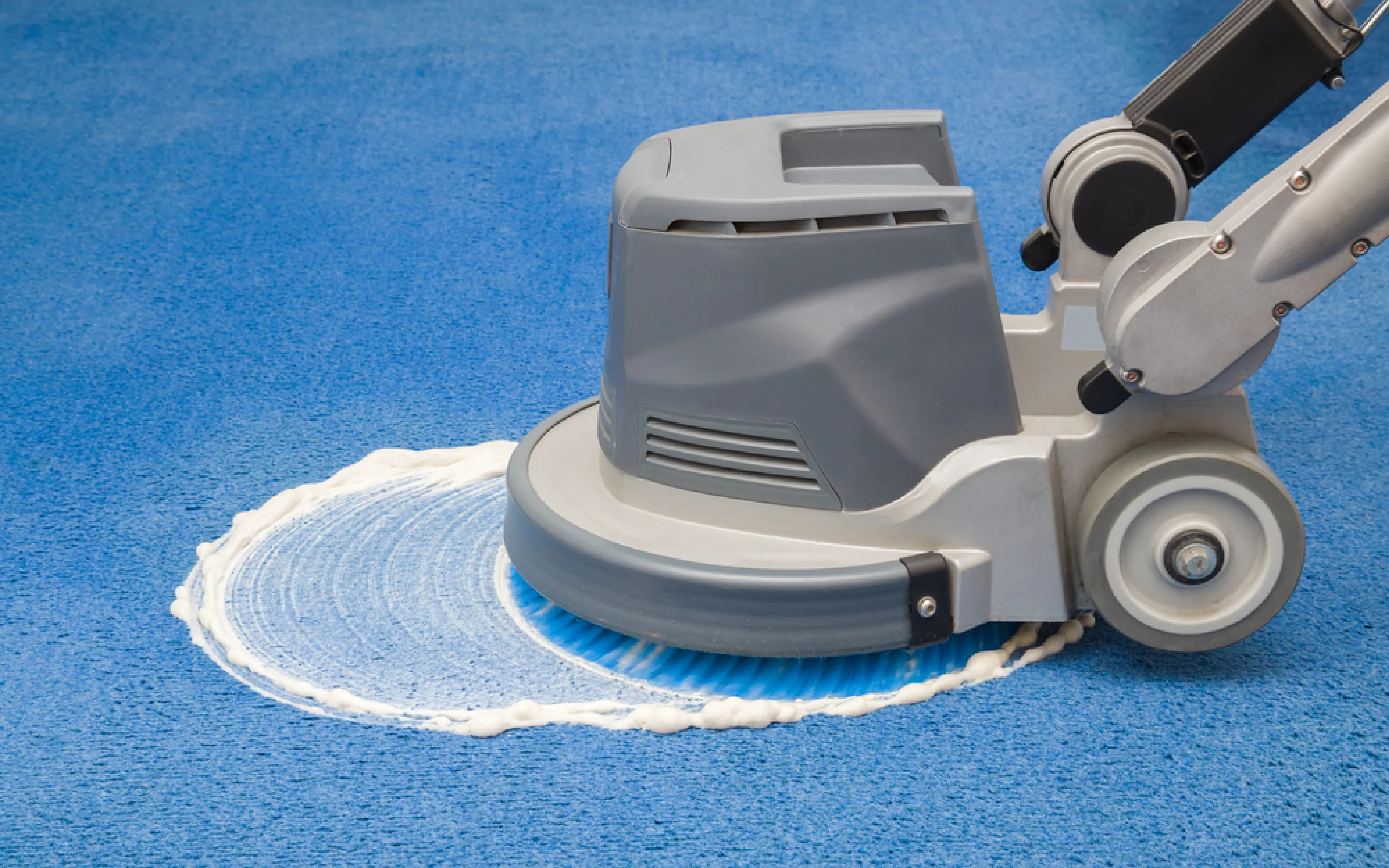 carpet cleaning in the Bronx, carpet cleaning in the Bronx, carpet cleaning the Bronx, carpet cleaners in the Bronx, carpet cleaners in the Bronx, commercial carpet cleaning, commercial carpet cleaning in the Bronx, the Bronx rug cleaners, rug cleaning services in the Bronx, same day carpet cleaning, same day rug cleaning
