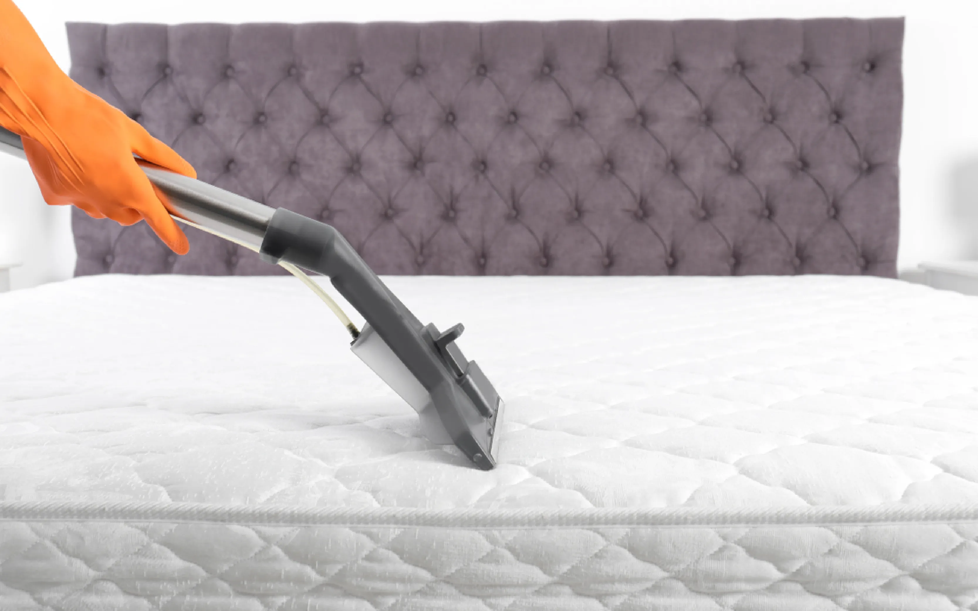 carpet cleaning in the Bronx, carpet cleaning in the Bronx, carpet cleaning the Bronx, carpet cleaners in the Bronx, carpet cleaners in the Bronx, commercial carpet cleaning, commercial carpet cleaning in the Bronx, the Bronx rug cleaners, rug cleaning services in the Bronx, same day carpet cleaning, same day rug cleaning